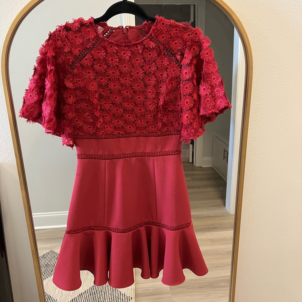Beautiful Anthropologie Rosabelle Raspberry Dress - image 4